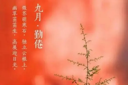 描写心灵温度的句子文案