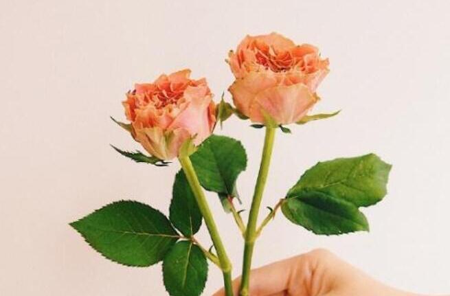 形容心情好的古风句子文案