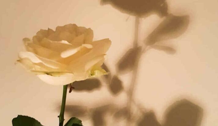 适合月份的文案