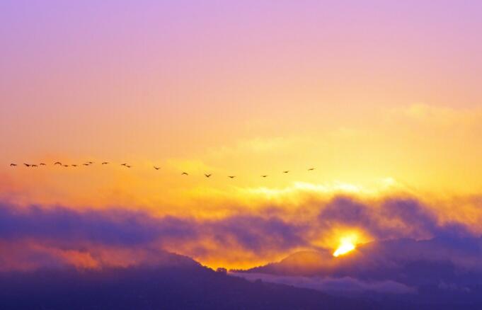 写景段落摘抄带出处