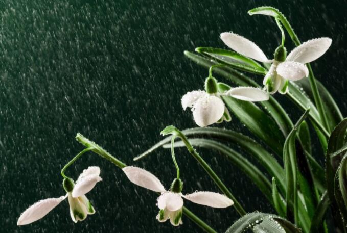 形容雨的唯美句子文案