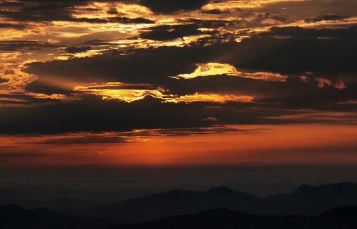 朝花夕拾读书笔记摘抄及感悟