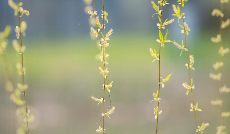 保护自尊心的优美句子文案