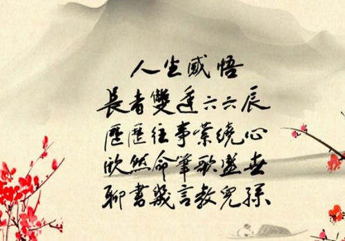 努力生活感悟经典句子文案