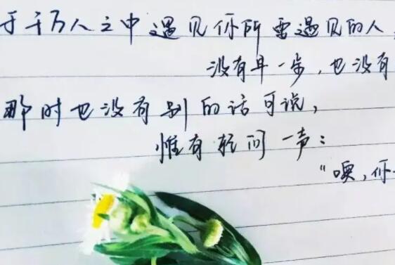 张爱玲情话文案最暖心短句