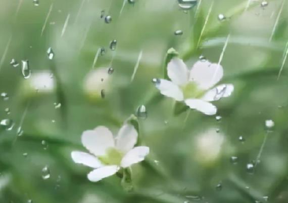 下雨天有意境的诗词