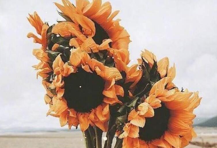 很惆怅的句子文案