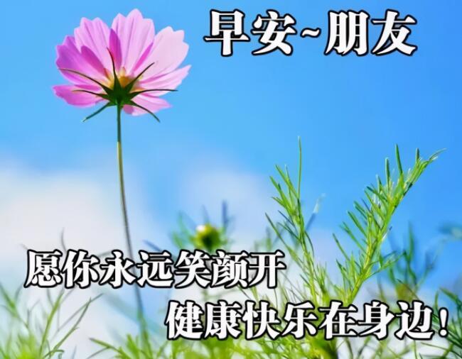 早上关心朋友问候短信