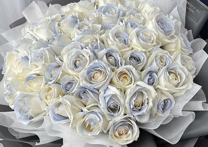 一句话形容玫瑰花