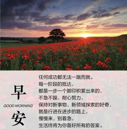 坚持的早安语录文案