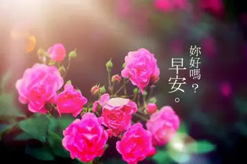 运动早安心语简短