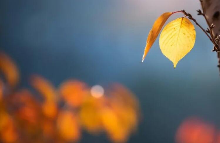 10月的诗句文案