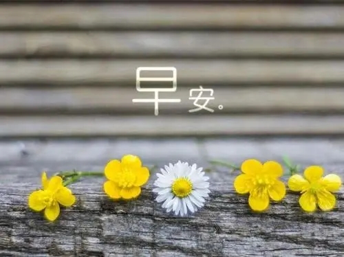 清晨语录优美句子文案正能量