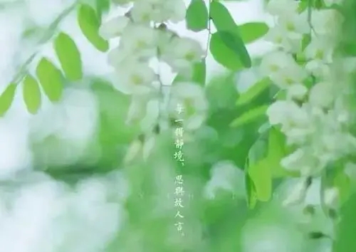 春天游玩适合发朋友圈的句子文案