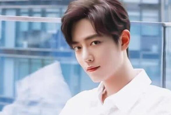 粉丝赞美肖战的句子文案