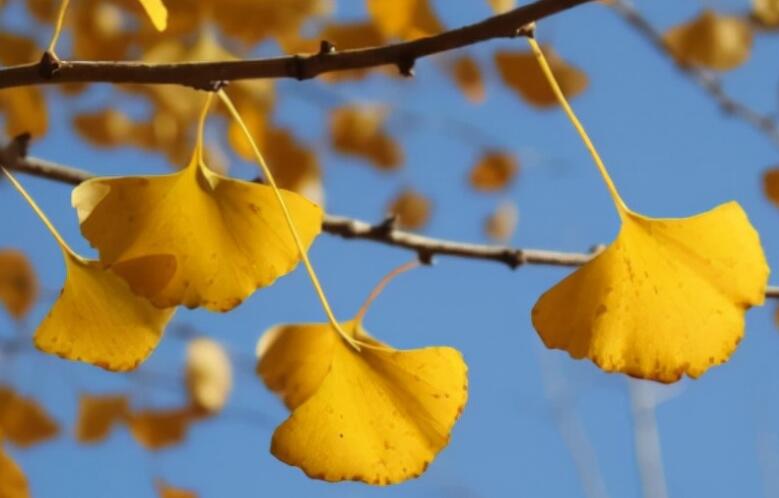 岁月流年的唯美一句话