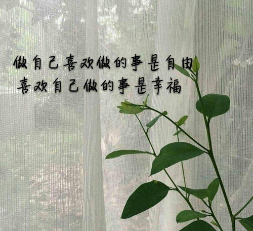 致自己的唯美句子文案