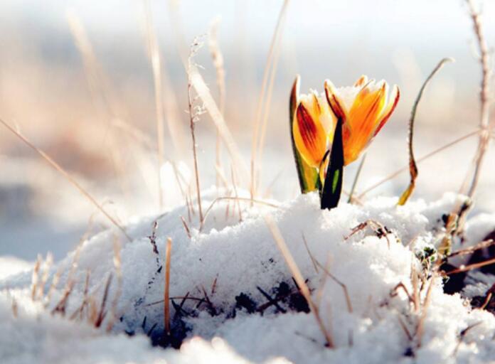 工作休假的朋友圈怎么发