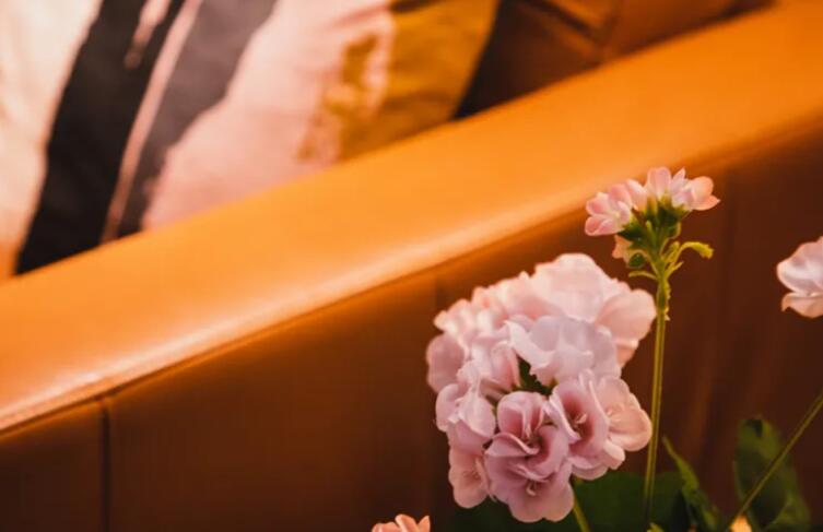 关于追梦人的一段话