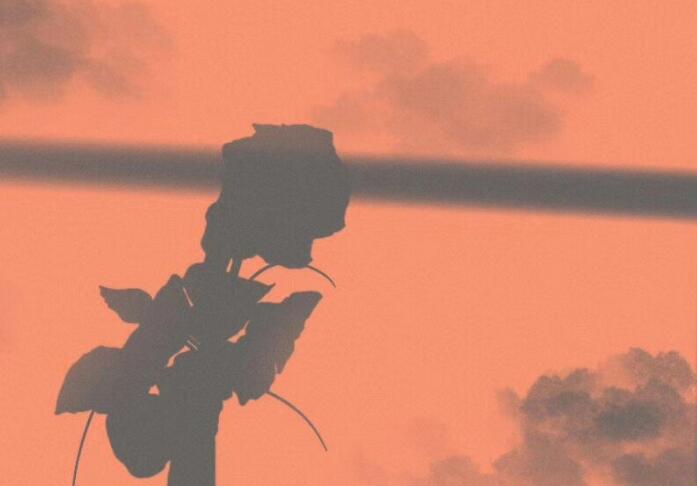 好听的句子文案