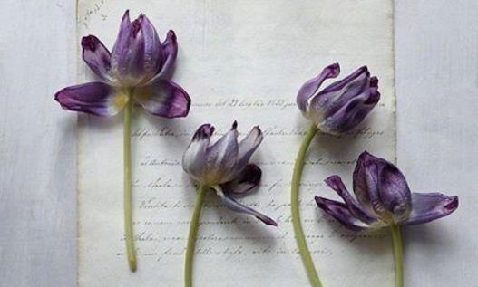 对自己要狠的名言