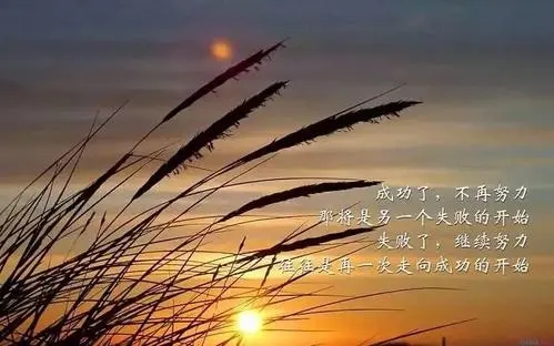 人生哲理经典句子文案正能量励志