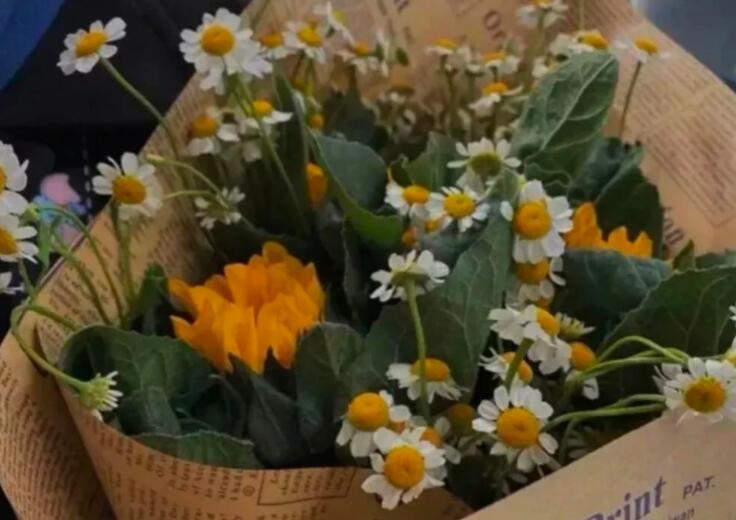 学生时代惊艳了整个青春的文案