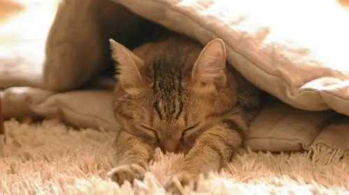 起床语录文案经典情侣