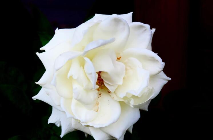 关于明天的正能量句子文案