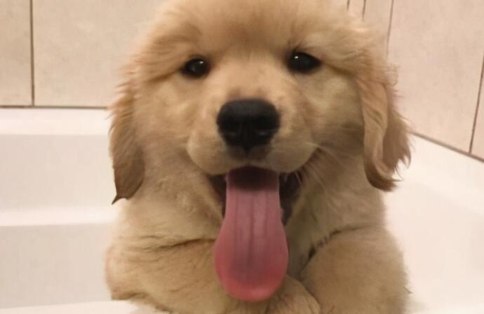 单身狗文案光棍节文案