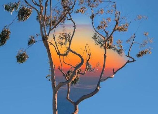 表达失眠夜难熬的句子文案