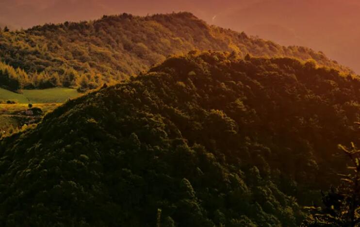 励志人生早安心语图片