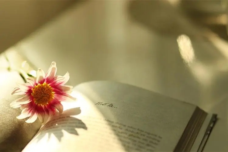 送给同事的一句话简短