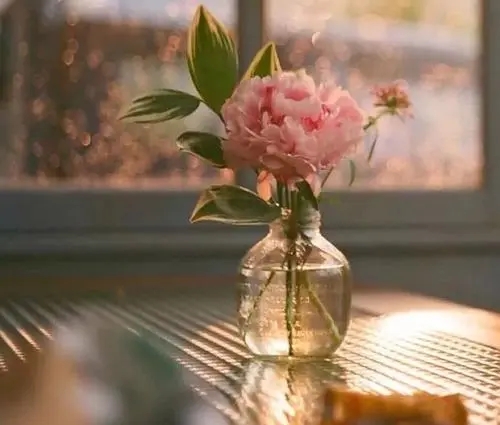 没有人陪伴的句子文案说说心情