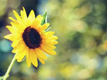 早上同事问候语