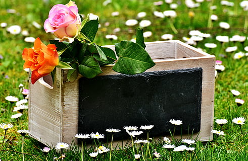 唯美的句子文案