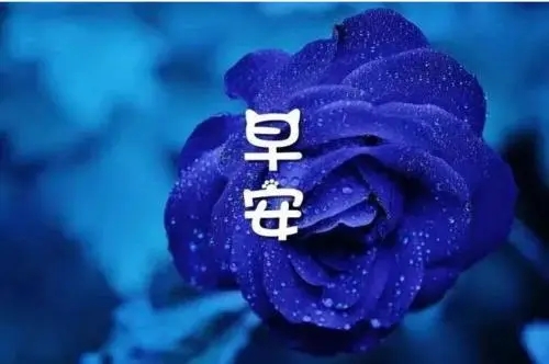 周末早安最简单一句话