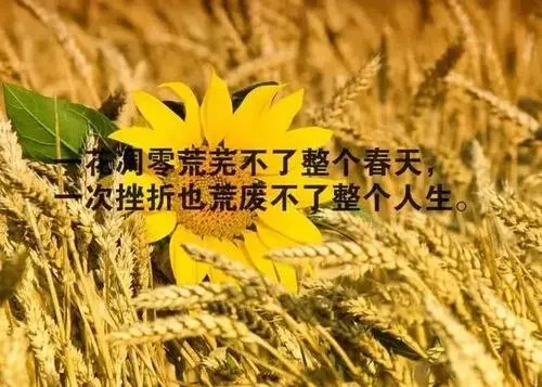 女人阳光自信的句子文案正能量