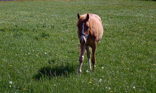 八字感恩语录文案