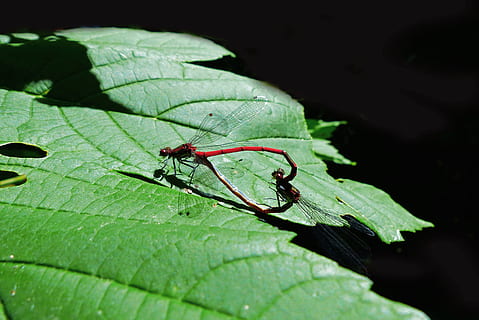 情侣恋爱周年八字短语