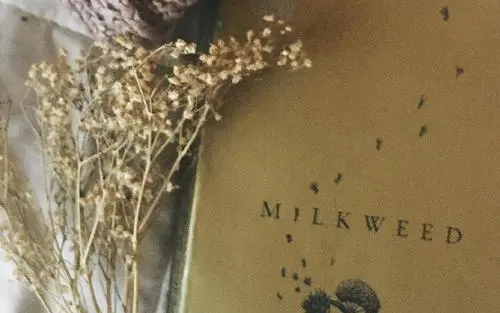 形容美好事物的句子文案是