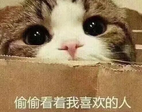 24个撩人小套路