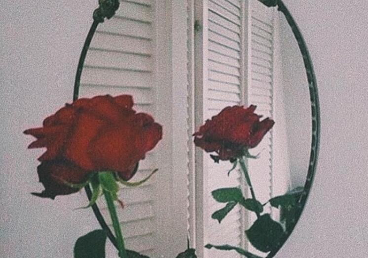 二月经典语录文案