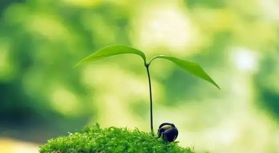 感谢生活的句子文案正能量