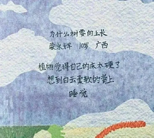 苏芩爱情语录文案