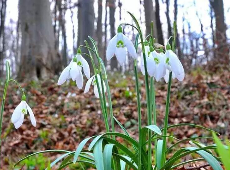 想念爱人的早安问候语