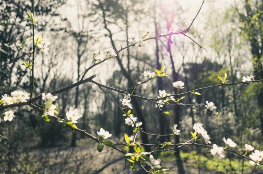 中华优秀经典诗词