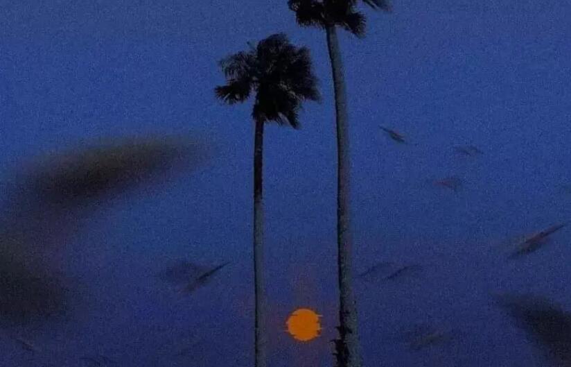 让人加微信的文案