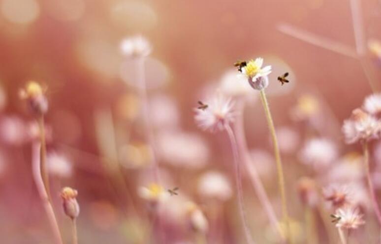 中午好正能量的句子文案经典语句