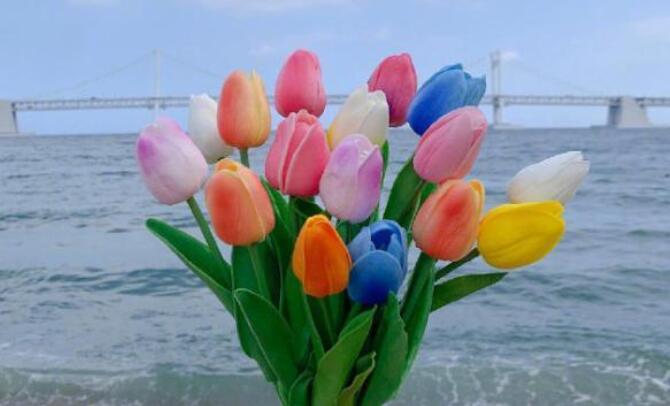 节日快乐的说说的句子文案